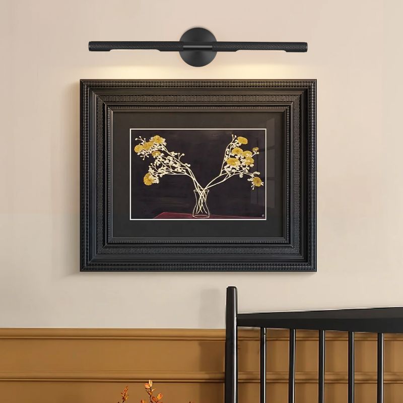 Emily LED Picture Light - Grace Lamp