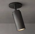Champeaux Brass Pivoting Flushmount 4½”D - Grace Lamp