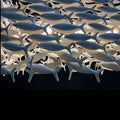 Porcelain Fish Shape Dining Table Chandelier-Grace Lamp