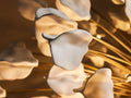 Lunaria Chandelier - Grace Lamp