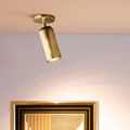 Champeaux Pivoting Flushmount 9