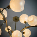 Contemporary Hand-blown Glass Globes Branch Chandelier for Dining Room Living Room and Kitchen Island - Grace Lamp
