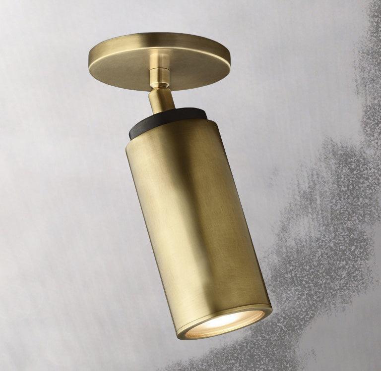Champeaux Brass Pivoting Flushmount 4½”D - Grace Lamp
