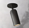 Champeaux Brass Pivoting Flushmount 4½”D - Grace Lamp